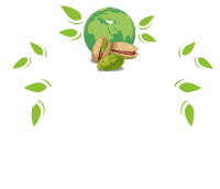 Az Kuruyemiş